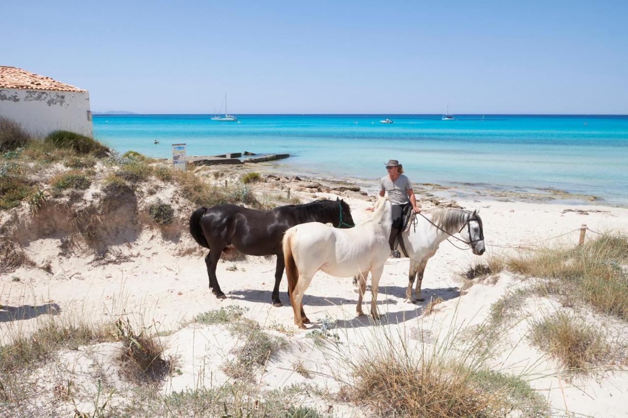 Mallorca Dream * Las Salinas